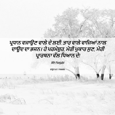 Picture 06 - ਜ਼ਬੂਰ 61:1 PANIRV - ਪ੍ਰਧਾਨ ਵਜਾਉਣ ਵਾਲੇ - Bible Verse Picture