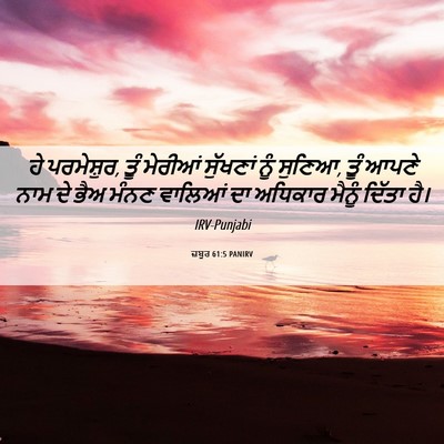 Picture 06 - ਜ਼ਬੂਰ 61:5 PANIRV - ਹੇ ਪਰਮੇਸ਼ੁਰ, ਤੂੰ - Bible Verse Picture