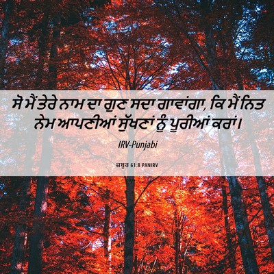 Picture 06 - ਜ਼ਬੂਰ 61:8 PANIRV - ਸੋ ਮੈਂ ਤੇਰੇ ਨਾਮ ਦਾ - Bible Verse Picture