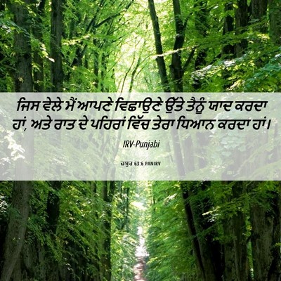 Picture 06 - ਜ਼ਬੂਰ 63:6 PANIRV - ਜਿਸ ਵੇਲੇ ਮੈਂ ਆਪਣੇ - Bible Verse Picture