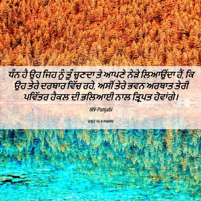 Picture 06 - ਜ਼ਬੂਰ 65:4 PANIRV - ਧੰਨ ਹੈ ਉਹ ਜਿਹ ਨੂੰ - Bible Verse Picture