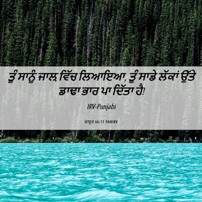 Picture 06 - ਜ਼ਬੂਰ 66:11 PANIRV - ਤੂੰ ਸਾਨੂੰ ਜਾਲ਼ - Bible Verse Picture