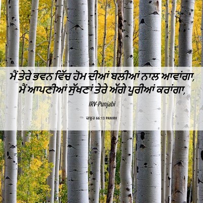 Picture 06 - ਜ਼ਬੂਰ 66:13 PANIRV - ਮੈਂ ਤੇਰੇ ਭਵਨ ਵਿੱਚ - Bible Verse Picture