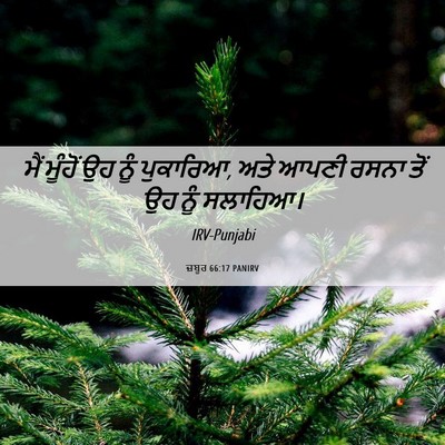 Picture 06 - ਜ਼ਬੂਰ 66:17 PANIRV - ਮੈਂ ਮੂੰਹੋਂ ਉਹ ਨੂੰ - Bible Verse Picture