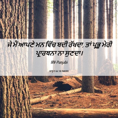 Picture 06 - ਜ਼ਬੂਰ 66:18 PANIRV - ਜੇ ਮੈਂ ਆਪਣੇ ਮਨ ਵਿੱਚ - Bible Verse Picture