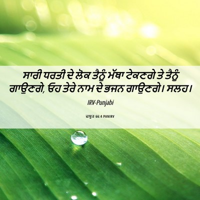 Picture 06 - ਜ਼ਬੂਰ 66:4 PANIRV - ਸਾਰੀ ਧਰਤੀ ਦੇ ਲੋਕ - Bible Verse Picture