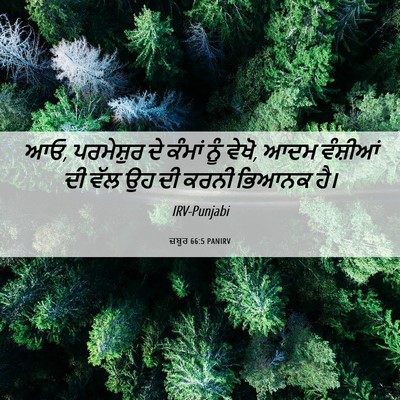 Picture 06 - ਜ਼ਬੂਰ 66:5 PANIRV - ਆਓ, ਪਰਮੇਸ਼ੁਰ ਦੇ - Bible Verse Picture