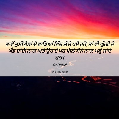 Picture 06 - ਜ਼ਬੂਰ 68:13 PANIRV - ਭਾਵੇਂ ਤੁਸੀਂ ਭੇਡਾਂ - Bible Verse Picture