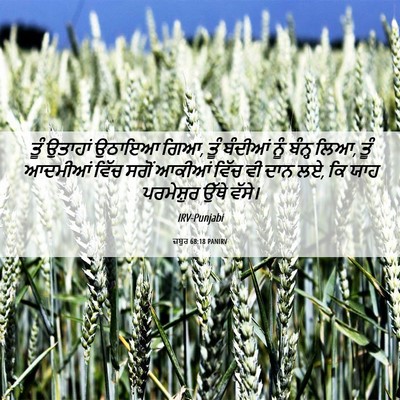 Picture 06 - ਜ਼ਬੂਰ 68:18 PANIRV - ਤੂੰ ਉਤਾਹਾਂ ਉਠਾਇਆ - Bible Verse Picture