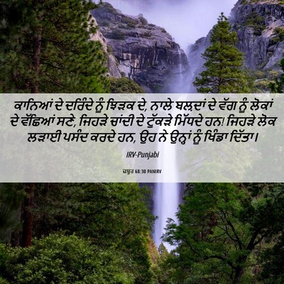 Picture 06 - ਜ਼ਬੂਰ 68:30 PANIRV - ਕਾਨਿਆਂ ਦੇ ਦਰਿੰਦੇ - Bible Verse Picture
