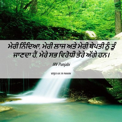 Picture 06 - ਜ਼ਬੂਰ 69:19 PANIRV - ਮੇਰੀ ਨਿੰਦਿਆ, ਮੇਰੀ - Bible Verse Picture