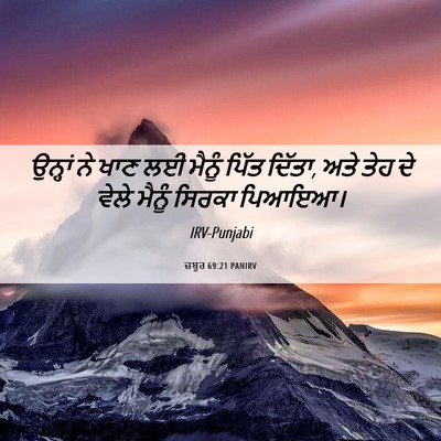 Picture 06 - ਜ਼ਬੂਰ 69:21 PANIRV - ਉਨ੍ਹਾਂ ਨੇ ਖਾਣ ਲਈ - Bible Verse Picture