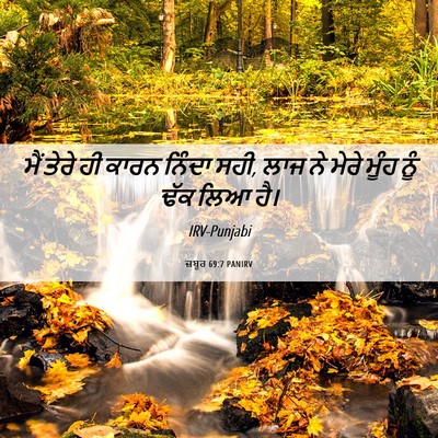Picture 06 - ਜ਼ਬੂਰ 69:7 PANIRV - ਮੈਂ ਤੇਰੇ ਹੀ ਕਾਰਨ - Bible Verse Picture