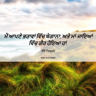 Picture 06 - ਜ਼ਬੂਰ 69:8 PANIRV - ਮੈਂ ਆਪਣੇ ਭਰਾਵਾਂ - Bible Verse Picture