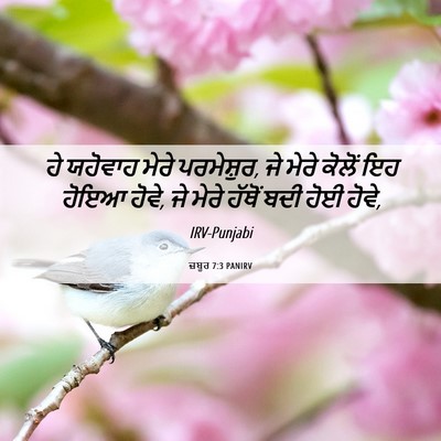 Picture 06 - ਜ਼ਬੂਰ 7:3 PANIRV - ਹੇ ਯਹੋਵਾਹ ਮੇਰੇ - Bible Verse Picture