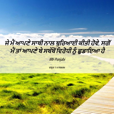 Picture 06 - ਜ਼ਬੂਰ 7:4 PANIRV - ਜੇ ਮੈਂ ਆਪਣੇ ਸਾਥੀ - Bible Verse Picture