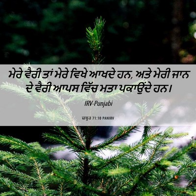 Picture 06 - ਜ਼ਬੂਰ 71:10 PANIRV - ਮੇਰੇ ਵੈਰੀ ਤਾਂ ਮੇਰੇ - Bible Verse Picture