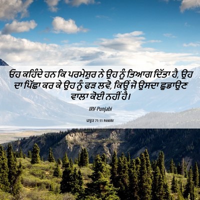 Picture 06 - ਜ਼ਬੂਰ 71:11 PANIRV - ਓਹ ਕਹਿੰਦੇ ਹਨ ਕਿ - Bible Verse Picture