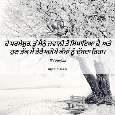Picture 06 - ਜ਼ਬੂਰ 71:17 PANIRV - ਹੇ ਪਰਮੇਸ਼ੁਰ, ਤੂੰ - Bible Verse Picture