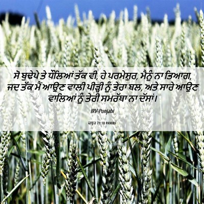 Picture 06 - ਜ਼ਬੂਰ 71:18 PANIRV - ਸੋ ਬੁਢੇਪੇ ਤੇ - Bible Verse Picture