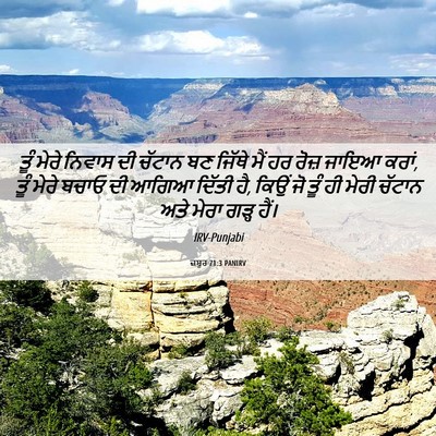 Picture 06 - ਜ਼ਬੂਰ 71:3 PANIRV - ਤੂੰ ਮੇਰੇ ਨਿਵਾਸ ਦੀ - Bible Verse Picture