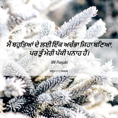 Picture 06 - ਜ਼ਬੂਰ 71:7 PANIRV - ਮੈਂ ਬਹੁਤਿਆਂ ਦੇ ਲਈ - Bible Verse Picture