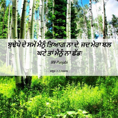 Picture 06 - ਜ਼ਬੂਰ 71:9 PANIRV - ਬੁਢੇਪੇ ਦੇ ਸਮੇਂ - Bible Verse Picture
