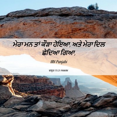 Picture 06 - ਜ਼ਬੂਰ 73:21 PANIRV - ਮੇਰਾ ਮਨ ਤਾਂ ਕੌੜਾ - Bible Verse Picture