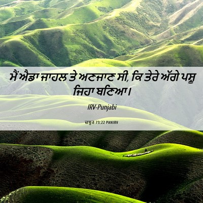 Picture 06 - ਜ਼ਬੂਰ 73:22 PANIRV - ਮੈਂ ਐਡਾ ਜਾਹਲ ਤੇ - Bible Verse Picture