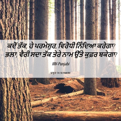 Picture 06 - ਜ਼ਬੂਰ 74:10 PANIRV - ਕਦੋਂ ਤੱਕ, ਹੇ - Bible Verse Picture