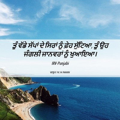Picture 06 - ਜ਼ਬੂਰ 74:14 PANIRV - ਤੂੰ ਵੱਡੇ ਸੱਪਾਂ ਦੇ - Bible Verse Picture