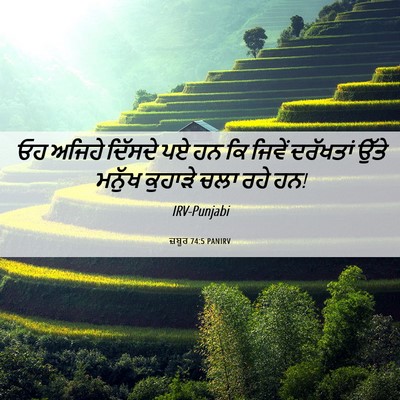 Picture 06 - ਜ਼ਬੂਰ 74:5 PANIRV - ਓਹ ਅਜਿਹੇ ਦਿੱਸਦੇ ਪਏ - Bible Verse Picture