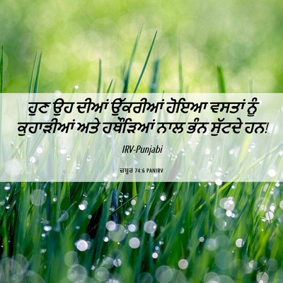 Picture 06 - ਜ਼ਬੂਰ 74:6 PANIRV - ਹੁਣ ਉਹ ਦੀਆਂ - Bible Verse Picture