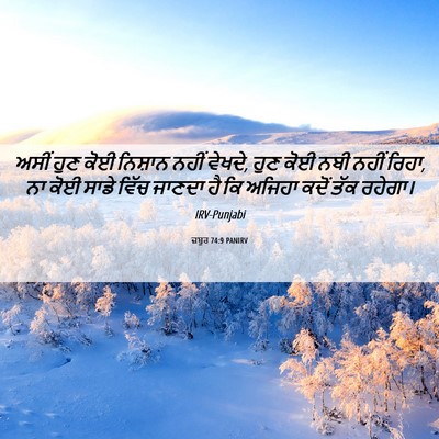 Picture 06 - ਜ਼ਬੂਰ 74:9 PANIRV - ਅਸੀਂ ਹੁਣ ਕੋਈ - Bible Verse Picture