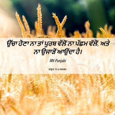 Picture 06 - ਜ਼ਬੂਰ 75:6 PANIRV - ਉੱਚਾ ਹੋਣਾ ਨਾ ਤਾਂ - Bible Verse Picture