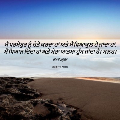 Picture 06 - ਜ਼ਬੂਰ 77:3 PANIRV - ਮੈਂ ਪਰਮੇਸ਼ੁਰ ਨੂੰ - Bible Verse Picture