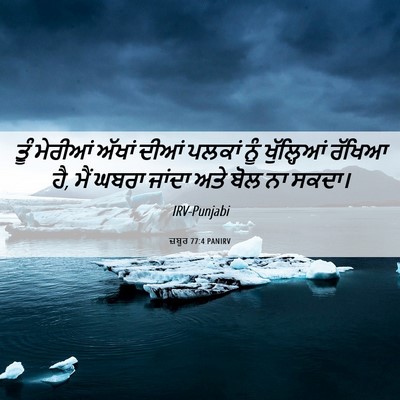 Picture 06 - ਜ਼ਬੂਰ 77:4 PANIRV - ਤੂੰ ਮੇਰੀਆਂ ਅੱਖਾਂ - Bible Verse Picture