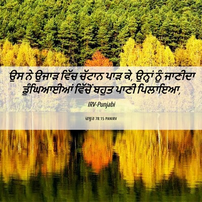 Picture 06 - ਜ਼ਬੂਰ 78:15 PANIRV - ਉਸ ਨੇ ਉਜਾੜ ਵਿੱਚ - Bible Verse Picture