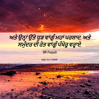 Picture 06 - ਜ਼ਬੂਰ 78:27 PANIRV - ਅਤੇ ਉਨ੍ਹਾਂ ਉੱਤੇ - Bible Verse Picture