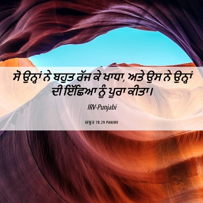 Picture 06 - ਜ਼ਬੂਰ 78:29 PANIRV - ਸੋ ਉਨ੍ਹਾਂ ਨੇ ਬਹੁਤ - Bible Verse Picture