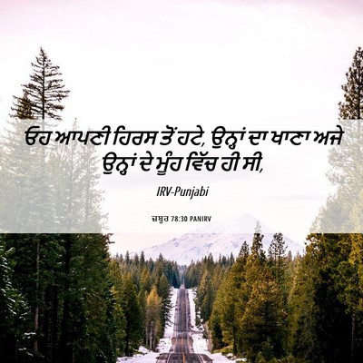 Picture 06 - ਜ਼ਬੂਰ 78:30 PANIRV - ਓਹ ਆਪਣੀ ਹਿਰਸ ਤੋਂ - Bible Verse Picture