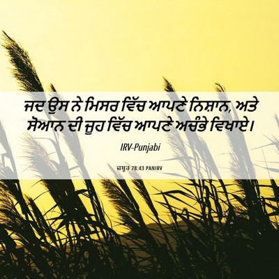 Picture 06 - ਜ਼ਬੂਰ 78:43 PANIRV - ਜਦ ਉਸ ਨੇ ਮਿਸਰ ਵਿੱਚ - Bible Verse Picture