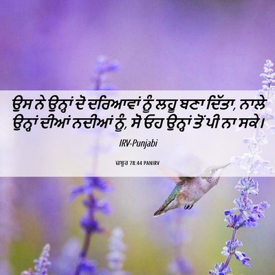 Picture 06 - ਜ਼ਬੂਰ 78:44 PANIRV - ਉਸ ਨੇ ਉਨ੍ਹਾਂ ਦੋ - Bible Verse Picture
