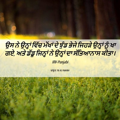 Picture 06 - ਜ਼ਬੂਰ 78:45 PANIRV - ਉਸ ਨੇ ਉਨ੍ਹਾਂ ਵਿੱਚ - Bible Verse Picture