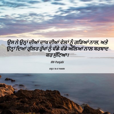 Picture 06 - ਜ਼ਬੂਰ 78:47 PANIRV - ਉਸ ਨੇ ਉਨ੍ਹਾਂ ਦੀਆਂ - Bible Verse Picture