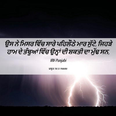 Picture 06 - ਜ਼ਬੂਰ 78:51 PANIRV - ਉਸ ਨੇ ਮਿਸਰ ਵਿੱਚ - Bible Verse Picture