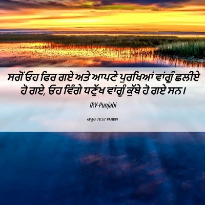 Picture 06 - ਜ਼ਬੂਰ 78:57 PANIRV - ਸਗੋਂ ਓਹ ਫਿਰ ਗਏ ਅਤੇ - Bible Verse Picture
