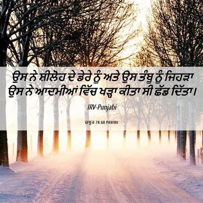 Picture 06 - ਜ਼ਬੂਰ 78:60 PANIRV - ਉਸ ਨੇ ਸ਼ੀਲੋਹ ਦੇ - Bible Verse Picture
