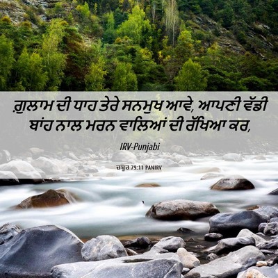Picture 06 - ਜ਼ਬੂਰ 79:11 PANIRV - ਗ਼ੁਲਾਮ ਦੀ ਧਾਹ ਤੇਰੇ - Bible Verse Picture