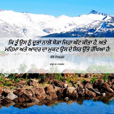 Picture 06 - ਜ਼ਬੂਰ 8:5 PANIRV - ਕਿ ਤੂੰ ਉਸ ਨੂੰ ਦੂਤਾਂ - Bible Verse Picture